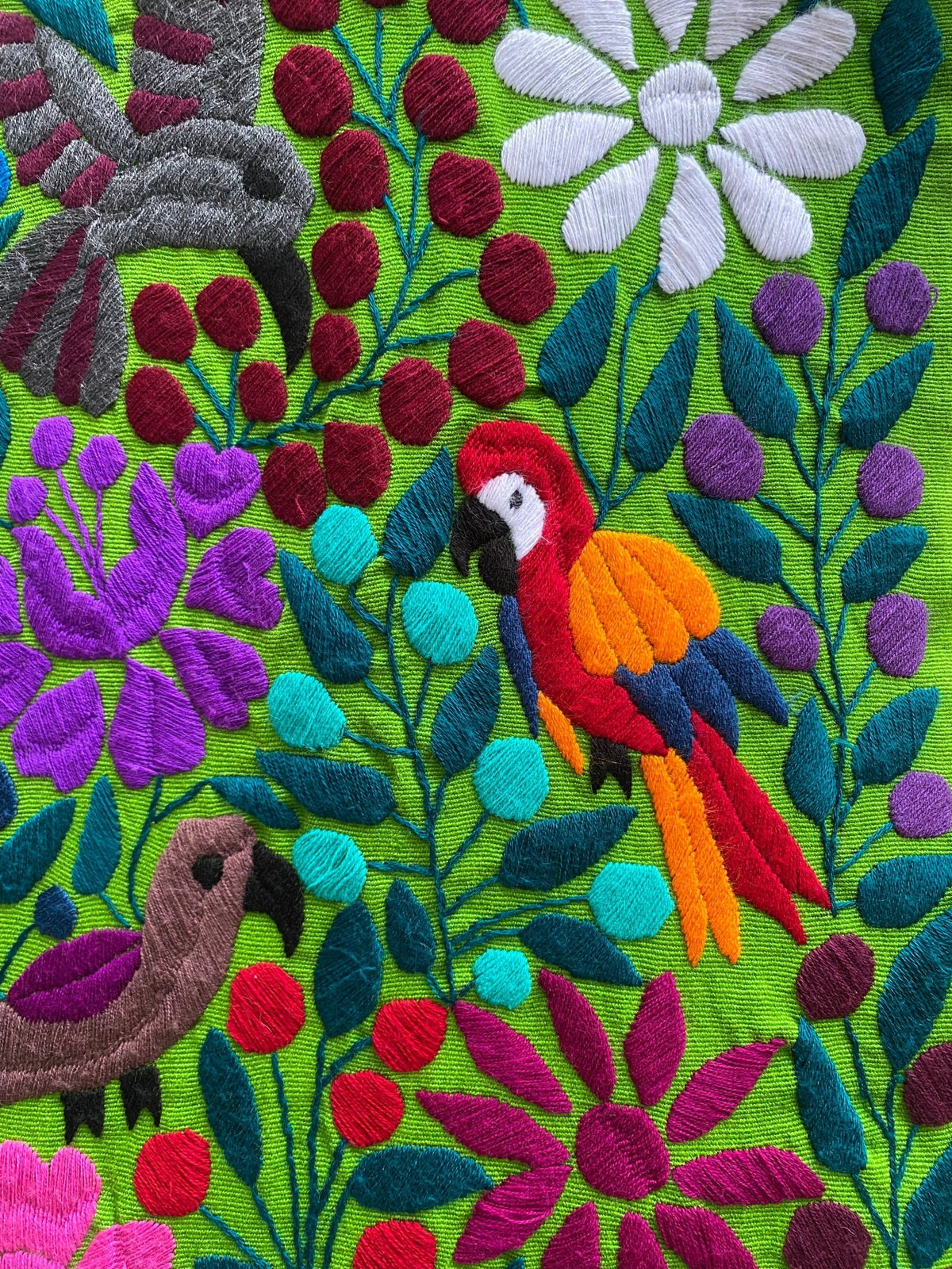 Lienzo telar Bordado a mano guacamaya - Xihue